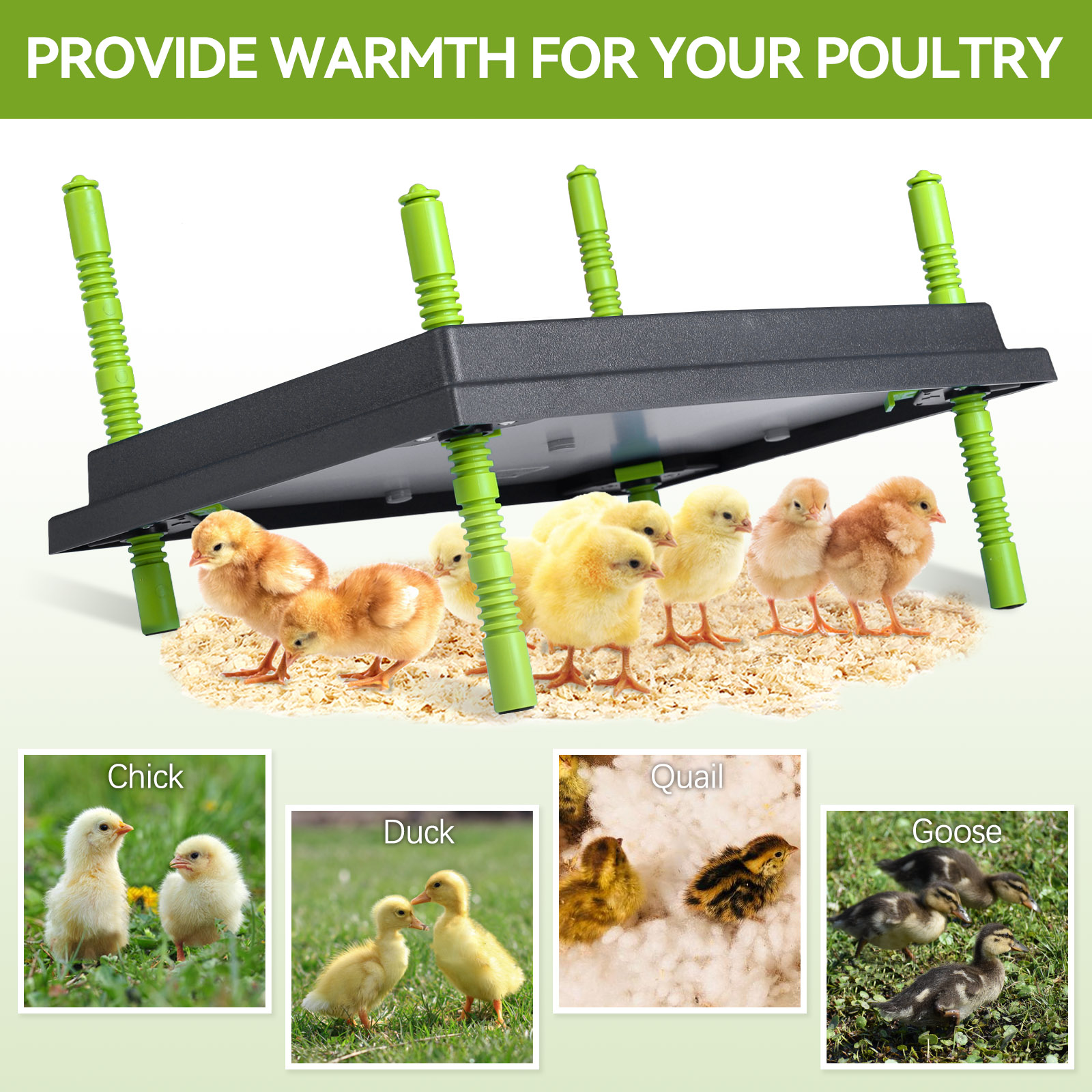 30x40cm Chick Brooder Heating  - Hot Dog Roller Grill review and price